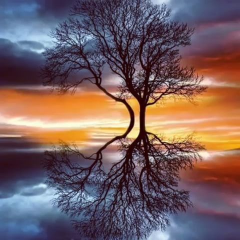 Səməd Şıxı-Belaşda qəribəliklər